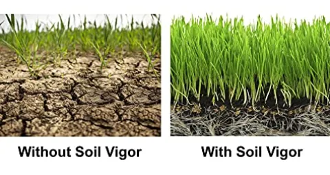 Soil Vigor Potassium Super Absorbent Polymer for Agriculture 45 Pounds White