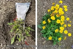 Soil Vigor Potassium Water Storing Polymer Crystal for Soil Aeration 45g