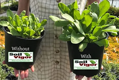 Soil Vigor Potassium Water Storing Polymer Crystal for Soil Aeration 45g