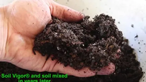 Soil Vigor Potassium Water Storing Polymer Crystal for Soil Aeration 45g