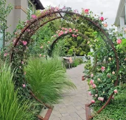 Terra Trellis Original Gracie Modern Arbor Moongate Oxide