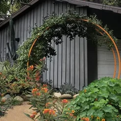 Terra Trellis Original Gracie Modern Arbor Moongate Oxide