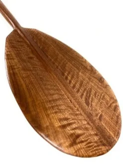 Tikimaster Premium Black Walnut Tiger Curls Outrigger Paddle 50 in T-Handle