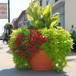 Tusco Products Rolled Rim Garden Planter 42-Inch Safari