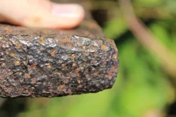 Unknown Huge Iron Cutting Axe #12 Medieval Viking Design