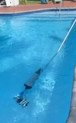 VacDaddy VD007 Refurbished Vacuum Grey and Black