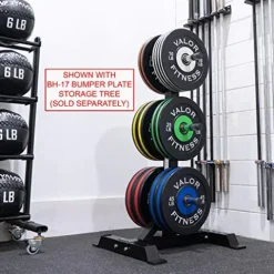 Valor Fitness BPP-270B Bumper Plate 270 lb Set