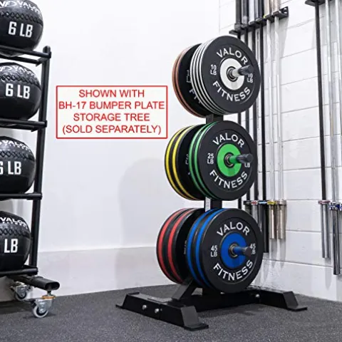 Valor Fitness BPP-390B Bumper Plate 390 lb Set