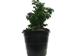 Viagrow 15 Gallon Round Nursery Trade Pots 480 Pack Black