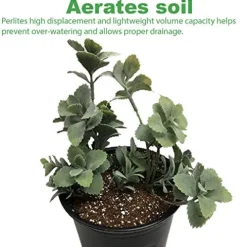 Viagrow VPERCH1-80 Chunky Perlite 29.9 Quarts White