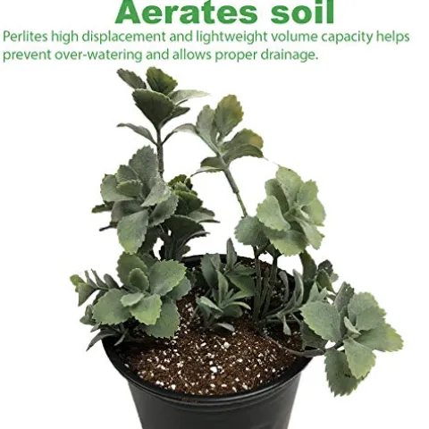 Viagrow VPERCH1-80 Chunky Perlite 29.9 Quarts White