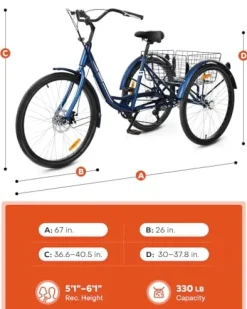 Viribus Adult Tricycle 7 Speed Dual Chain Navy