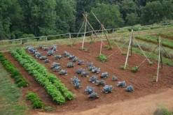 We SAVVY Irrigation GK-4000-RV Garden Irrigation Kit 4000 Row Feet