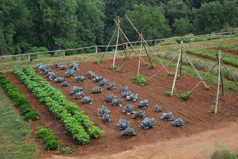 We SAVVY Irrigation GK-4000-RV Garden Irrigation Kit 4000 Row Feet