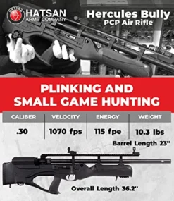 Wearable4U Hatsan HGHercBull-30 Hercules Bully .30 Caliber Air Rifle Bundle with Towel, 100 Pellets, 100 Targets Black