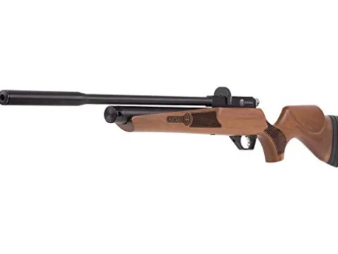 Wearable4U Hatsan Hydra .25 Cal QuietEnergy PCP Air Rifle Ultimate Bundle with Arrow Barrel, Hard Case, Targets, and Pellets