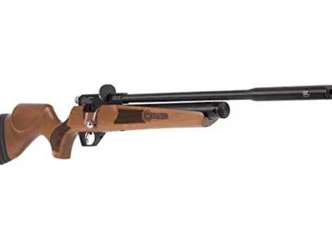 Wearable4U Hatsan Hydra .25 Cal QuietEnergy PCP Air Rifle Ultimate Bundle with Arrow Barrel, Hard Case, Targets, and Pellets