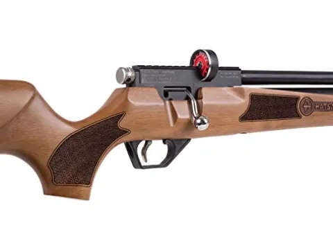 Wearable4U Hatsan Hydra .25 Cal QuietEnergy PCP Air Rifle Ultimate Bundle with Arrow Barrel, Hard Case, Targets, and Pellets