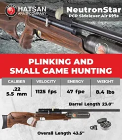 Wearable4U Hatsan NeutronStar .22 Cal PCP Air Rifle Bundle with 250 Pellets and 100 Paper Targets