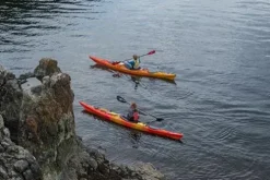 Wilderness Systems Tempest 170 Sit Inside Touring Kayak Mango