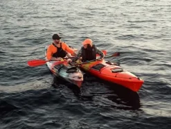 Wilderness Systems Tsunami 140 Sit Inside Touring Kayak Rudder 14 ft Desert Eclipse