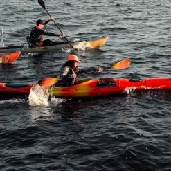 Wilderness Systems Tsunami 145 Sit Inside Touring Kayak with Rudder Purple Dawn