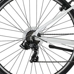 XDS Cross200 Women’s 21sp Step-Through Hybrid Bicycle White