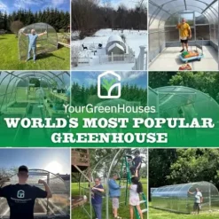 YourGreenHouses Polycarbonate Greenhouse Tunnel Clear 10×26 FT