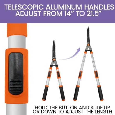 Zenport Hedge Shear HS723-12PK Orange/Black